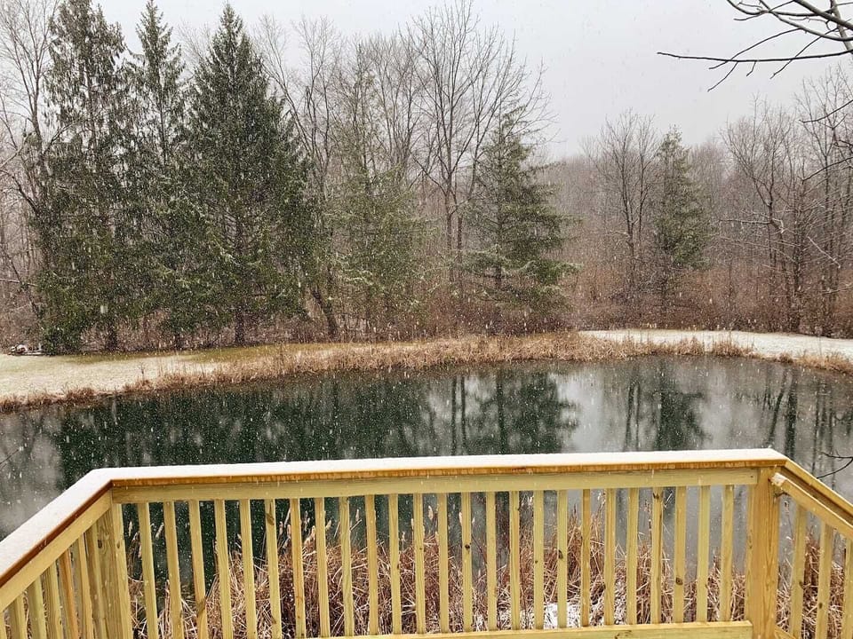 Winter Time Views