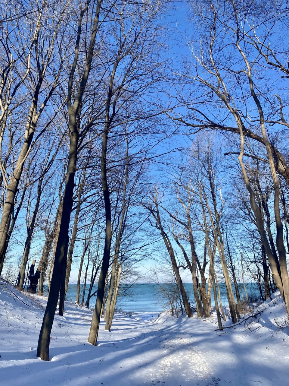 Beautiful any time of year! 1/8/22