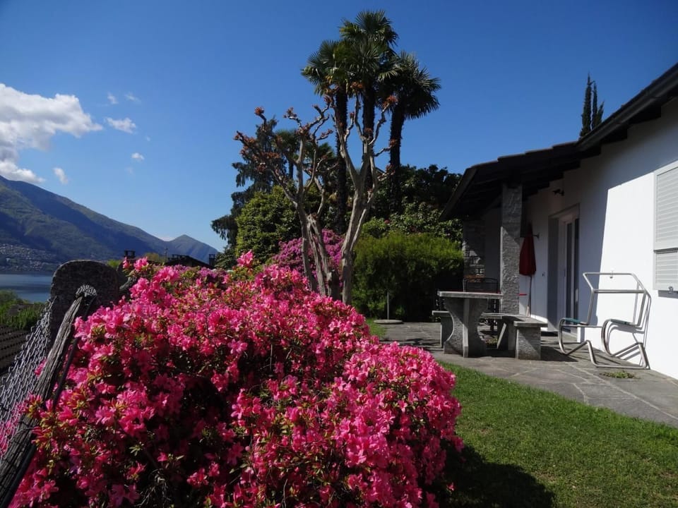 Eco-hous A