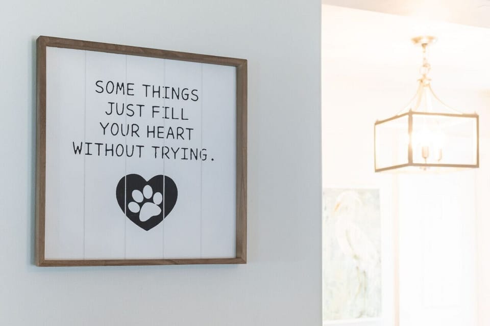 We all love our four-legged friends, don`t we?