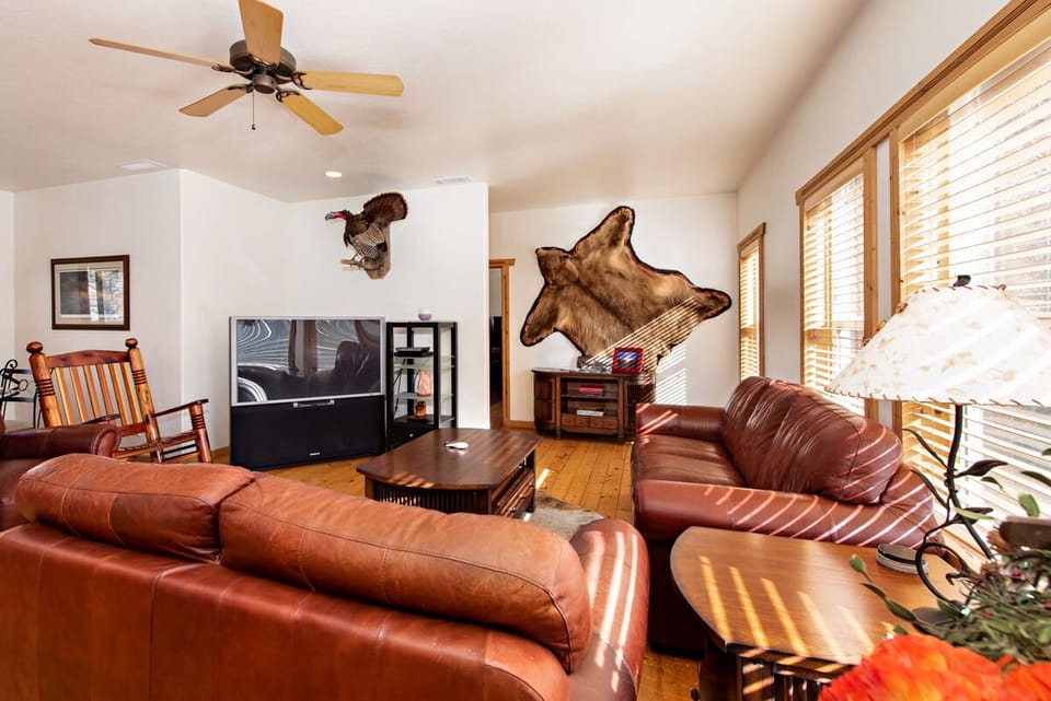 Living room with television