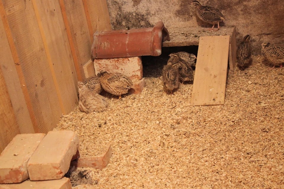 Interior detail