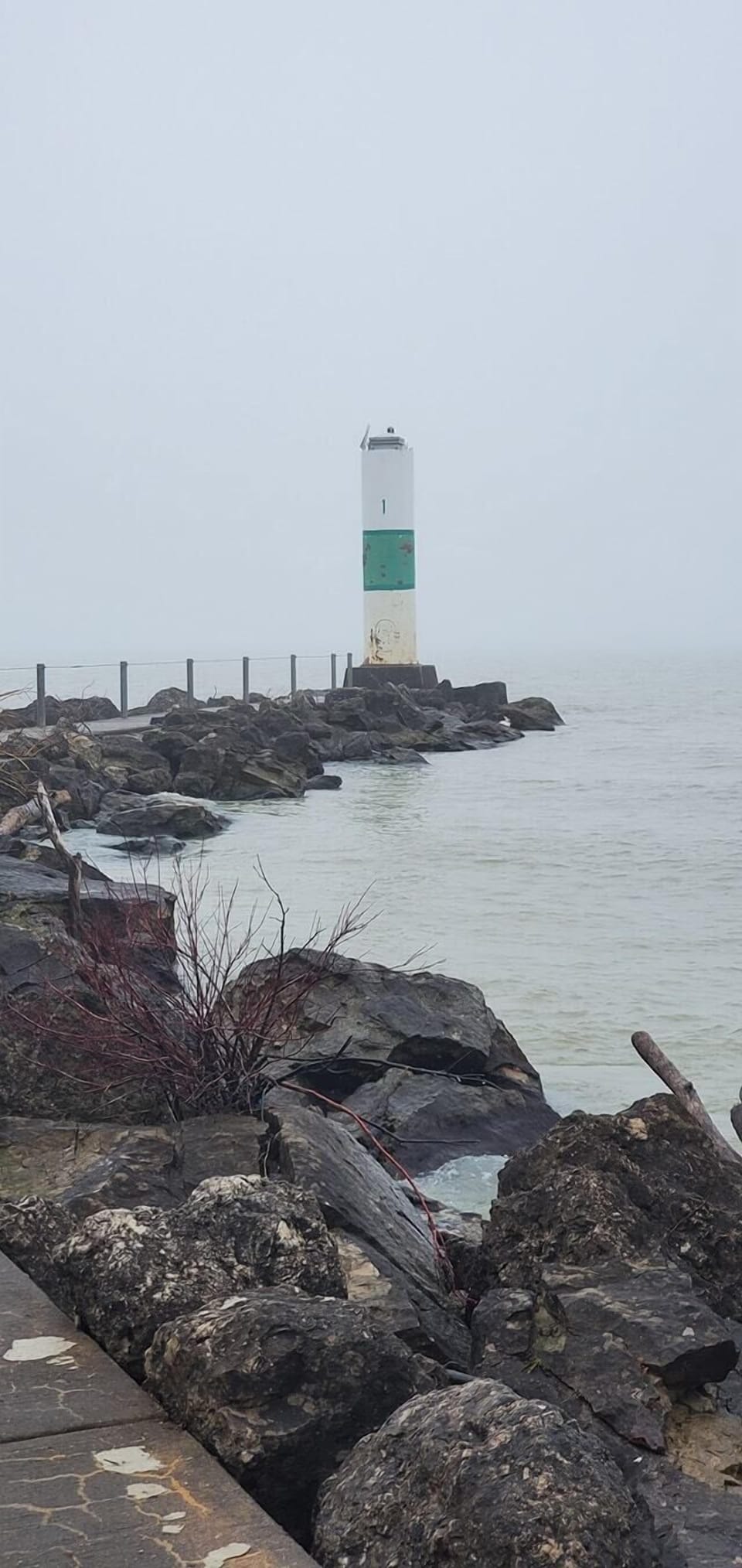 107899248_106713031116725_526350219560243764_o (1) (12)