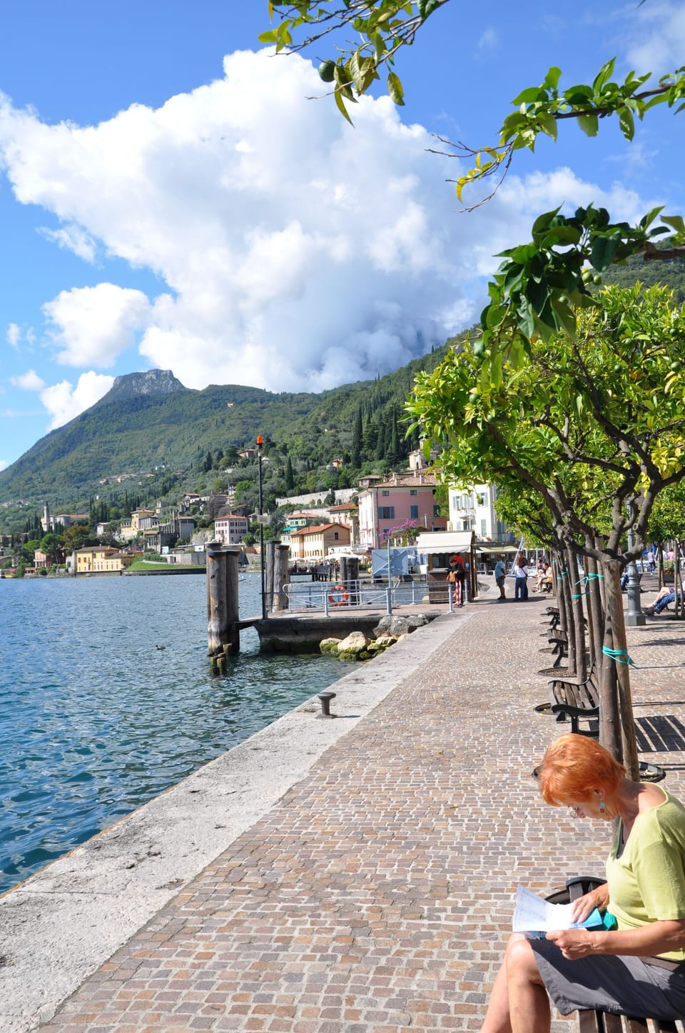 Villa with Mediterranean garden, ideal for dog owners, for guests looking for peace and quiet House in Lake Garda