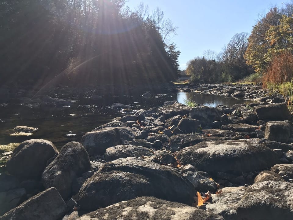 The river water levels fluctuate. (Taken late October 2019)