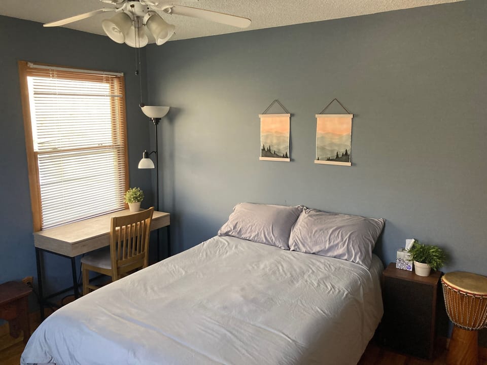 Second Bedroom (double size memory foam mattress)