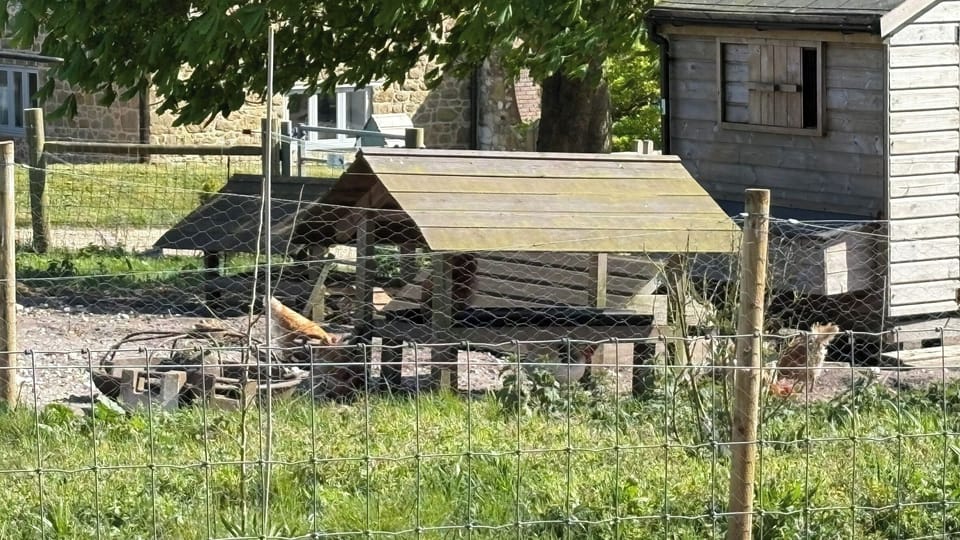Image 30