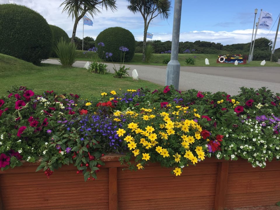 Lovely communal gardens 
