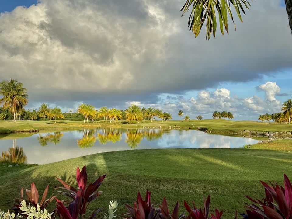 gold course 