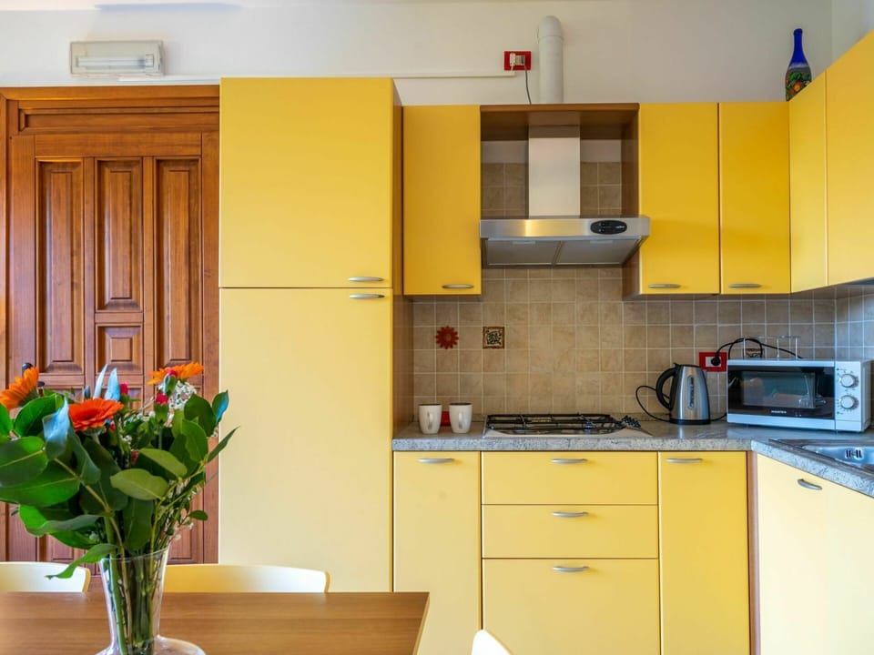 Cabinetry, Building, Countertop, Furniture, Flowerpot, Kitchen Sink, Kitchen Appliance, Sink, Kitchen Stove, Yellow