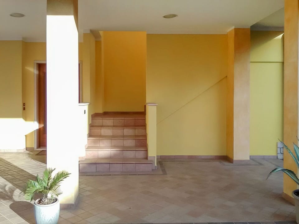 Plant, Shade, Flooring, Floor, Wood, Houseplant, Wall, Hall, Real Estate