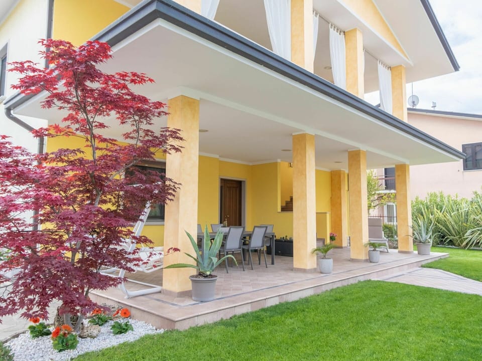 Plant, Building, Property, Window, Yellow, Door, Tree, Chair, Shade