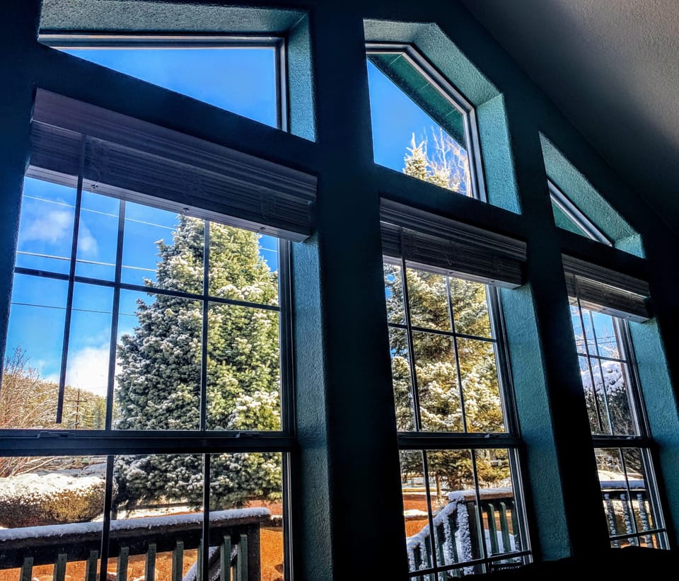 You'll love the view out of the living room.  Looks like 3 christmas trees!