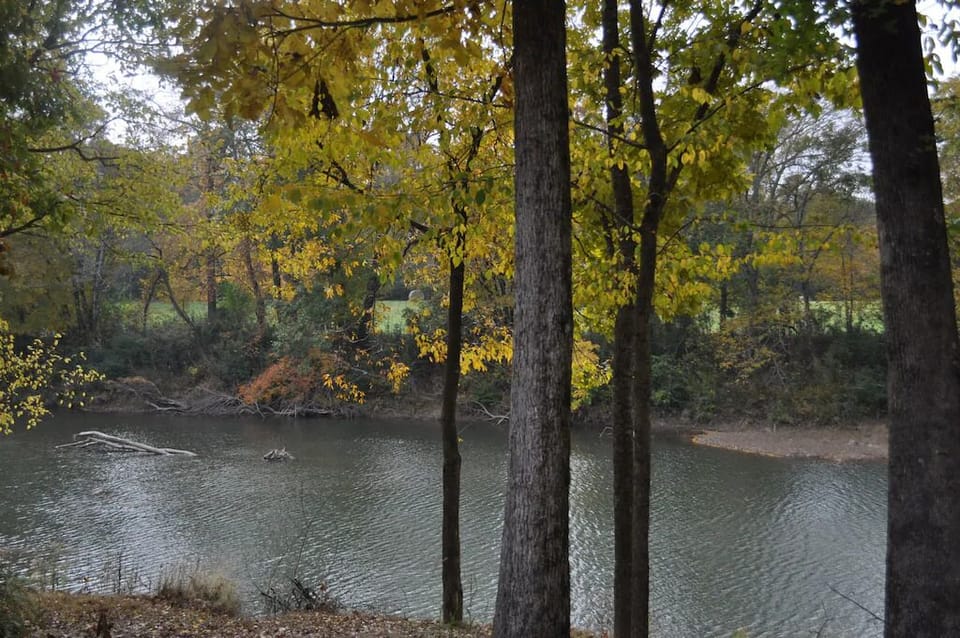 9c8f9b05.f10