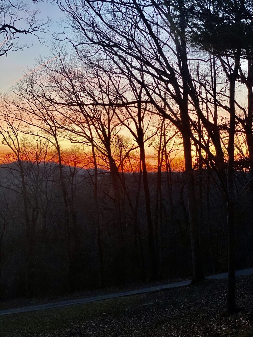 From our deck.