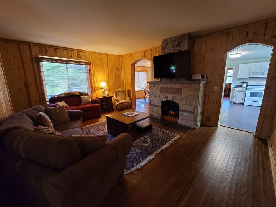 Living room w/ electric fireplace