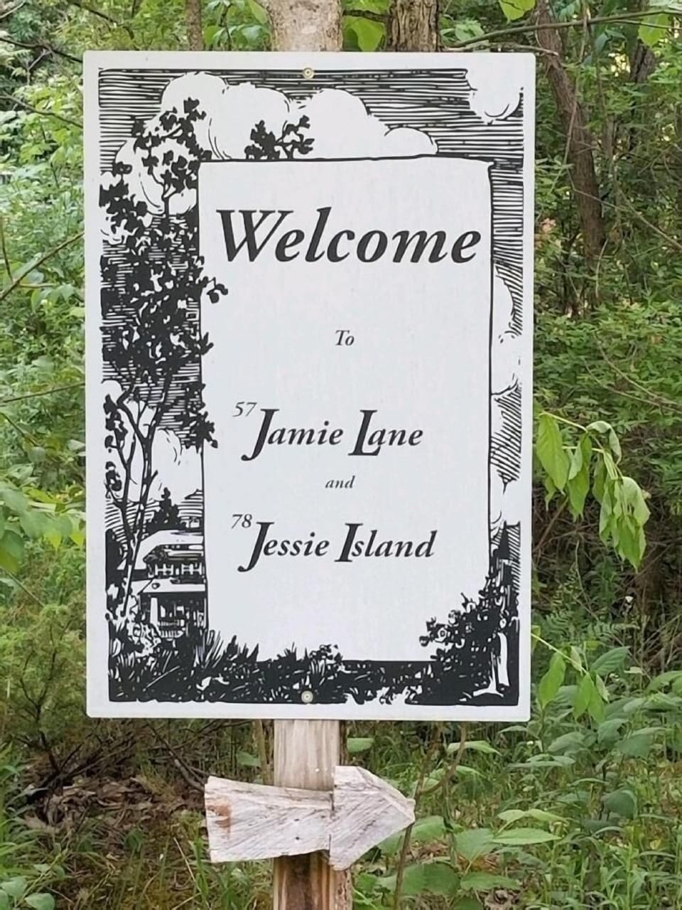 Vegetation, Tree, Outdoors, Nature, Land