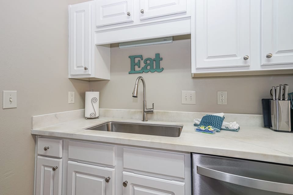Large Sink and Dishwasher