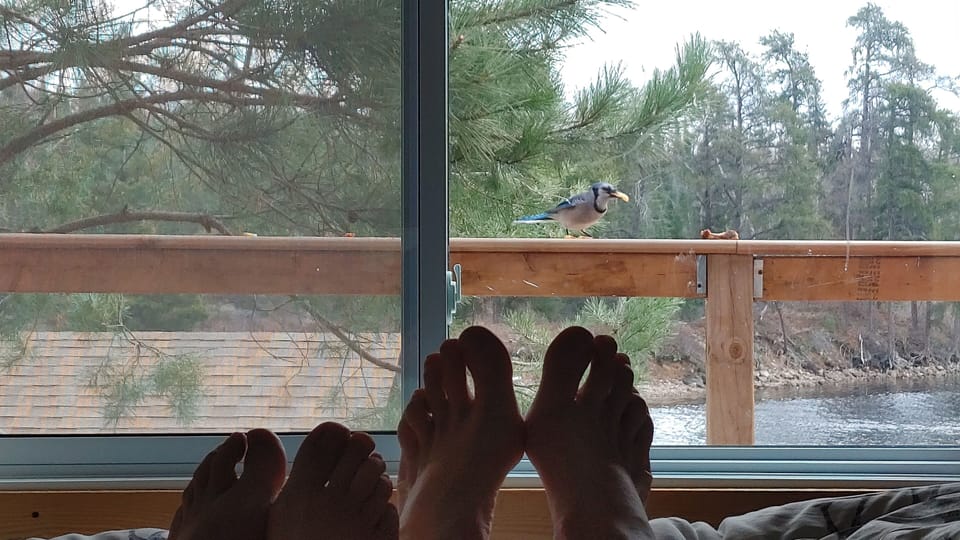 Bring peanuts and enjoy Nature with coffee in bed 