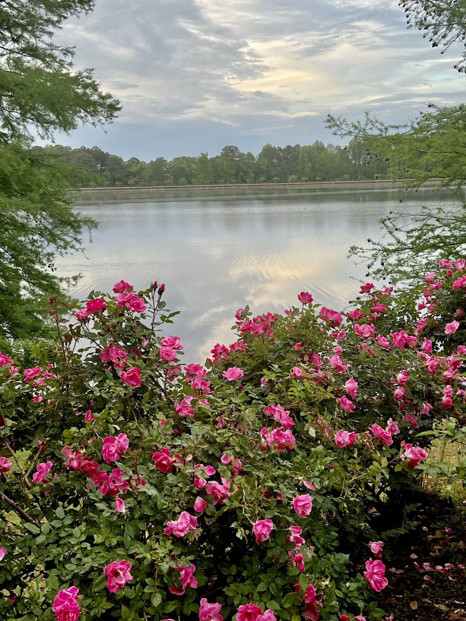 The causeway of Spring Valley Lake