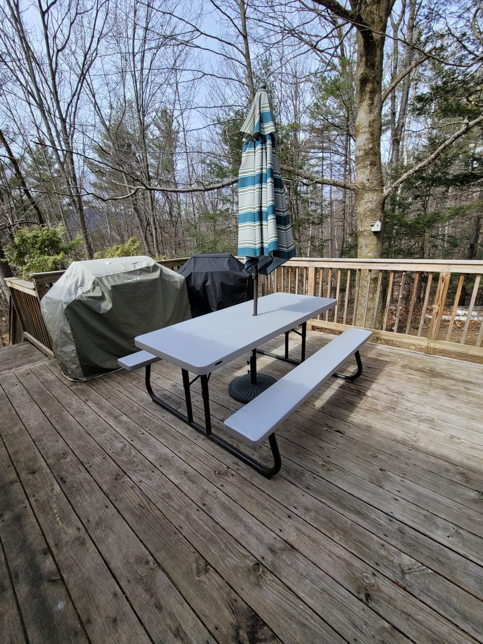 2 gas grills with picnic table and bench (not shown).