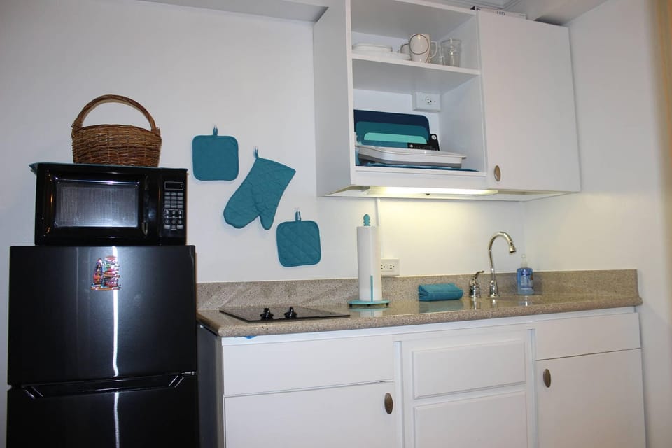 Kitchenette with refrigerator, microwave, 2-burner stovetop and toaster oven..