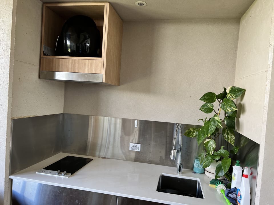 Induction cooktop and sink 