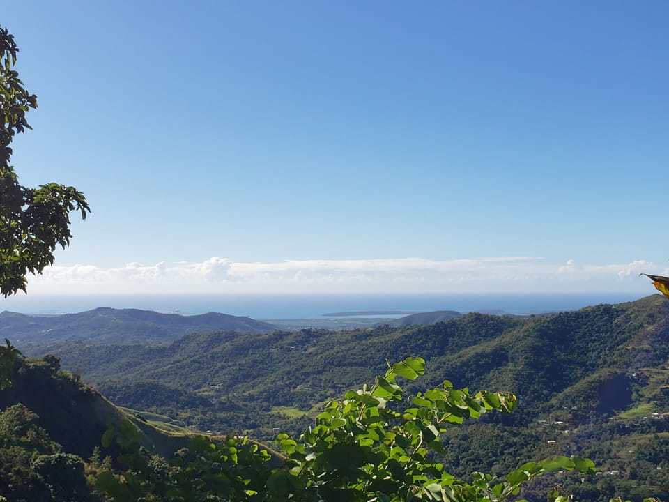 View from property