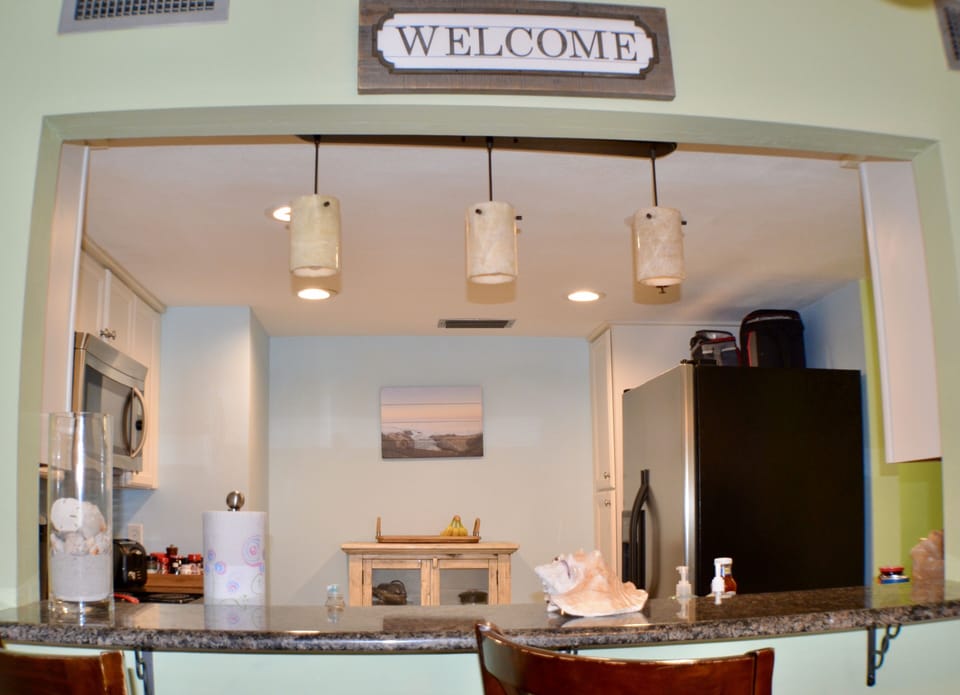 "Bar" counter looking into the kitchen.