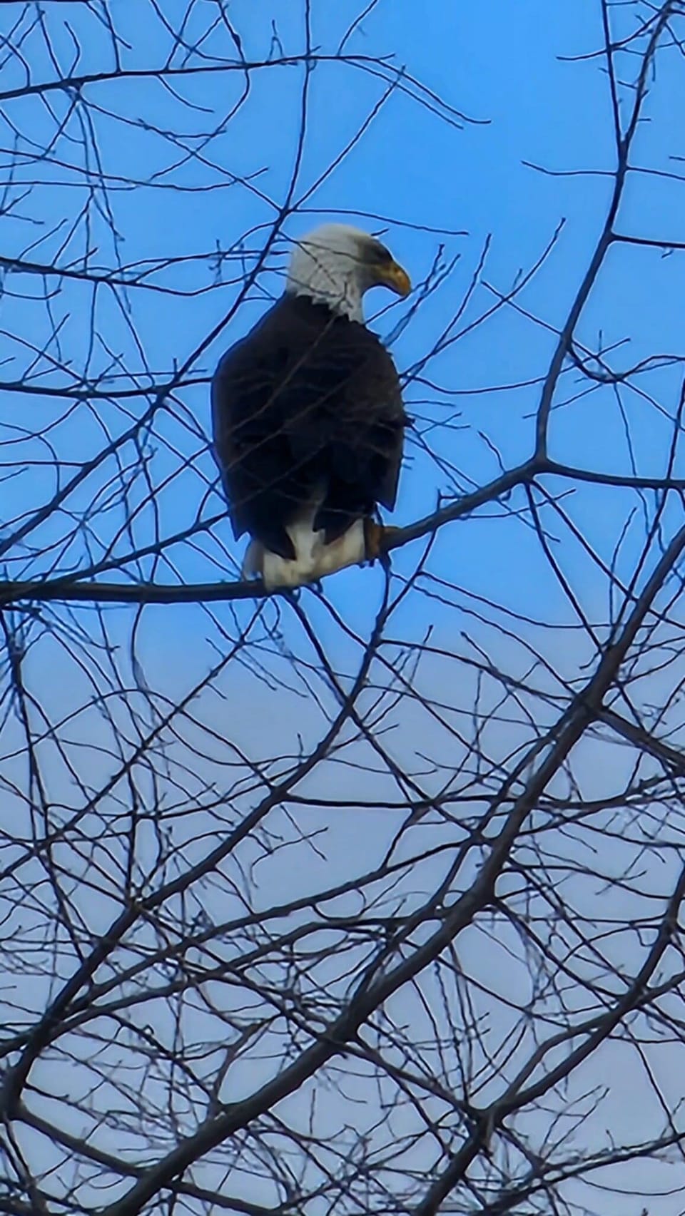 zoomed in