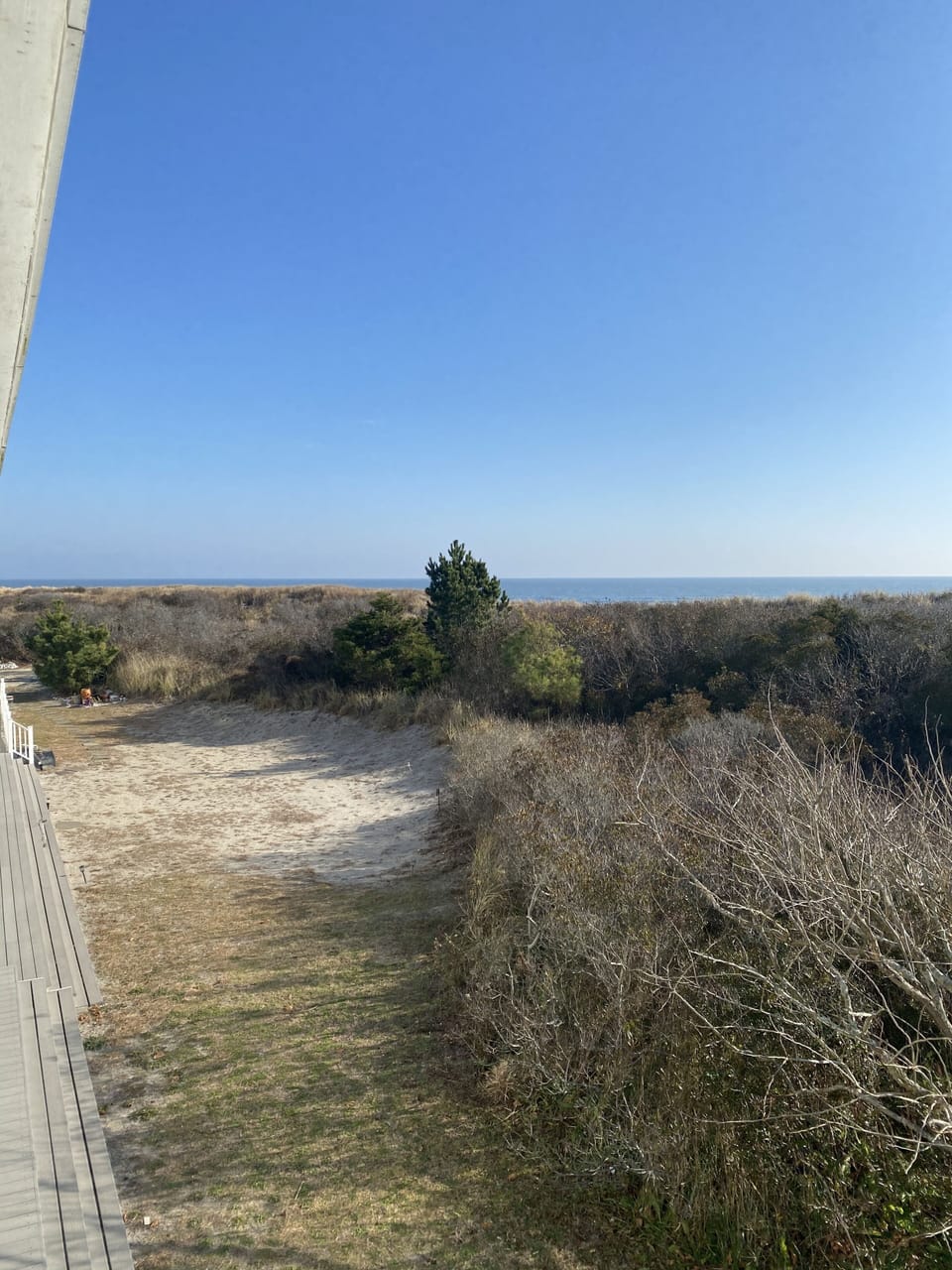 Dunes hold back the ocean....