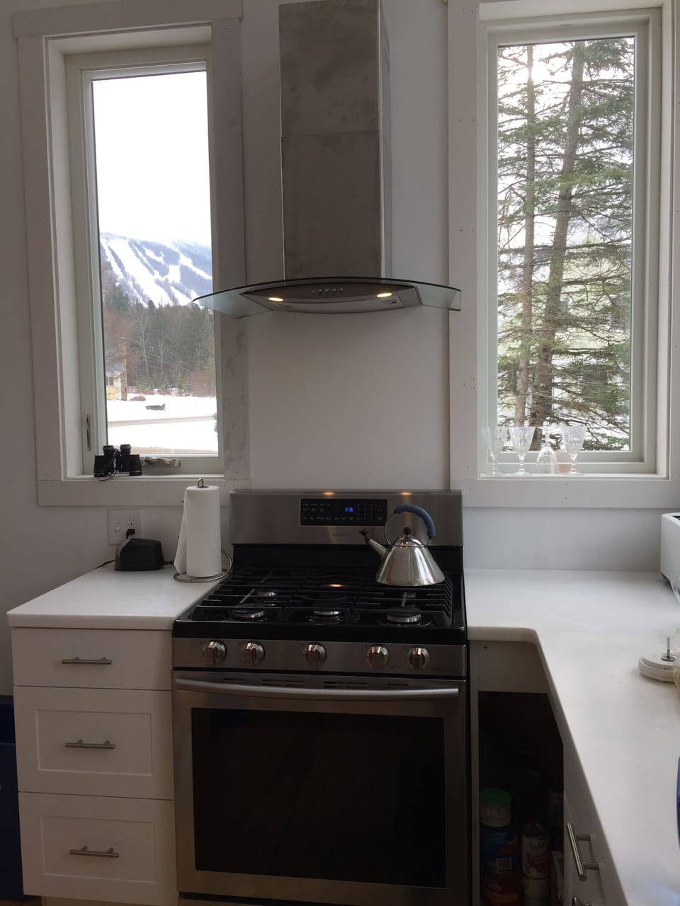 Stove with a view