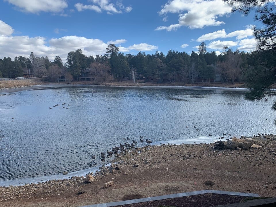 View of the lake from the Deck