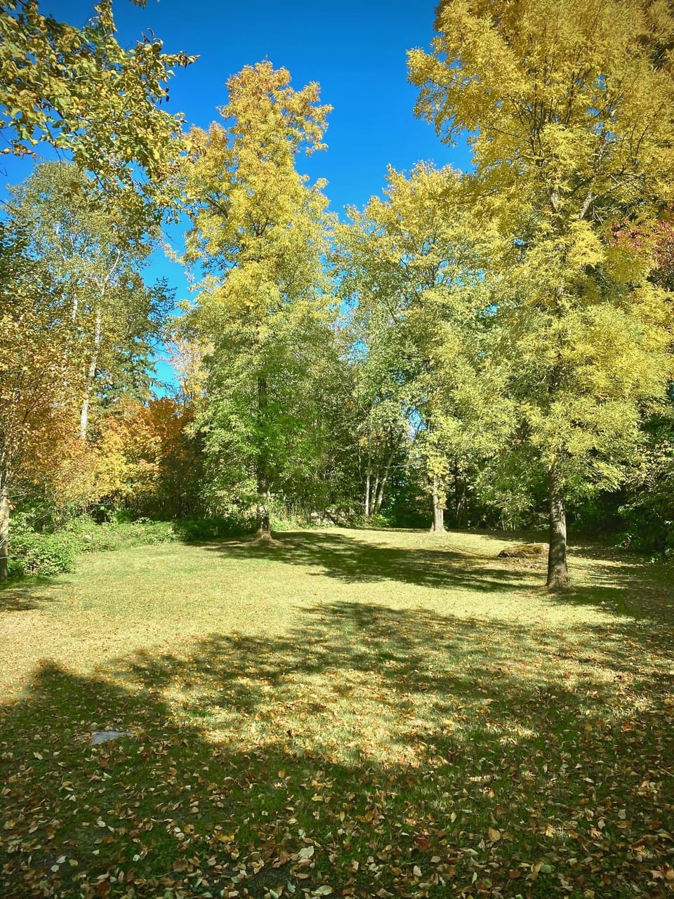 Expansive grassy area on island that is great for picnics and yard games