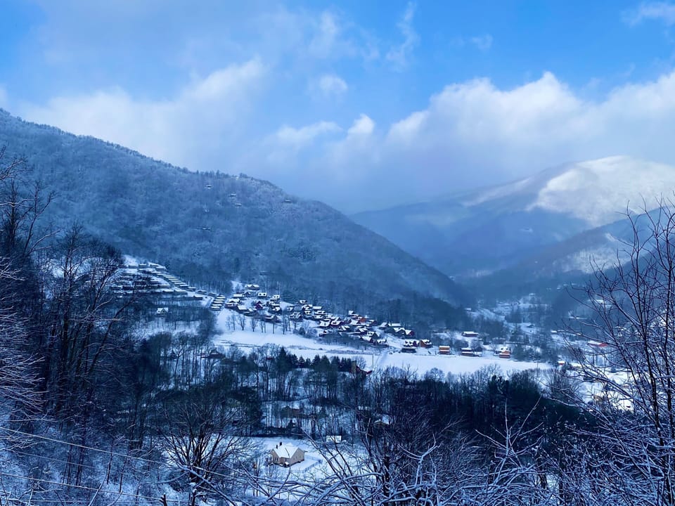 View from deck on Christmas Day 2020
