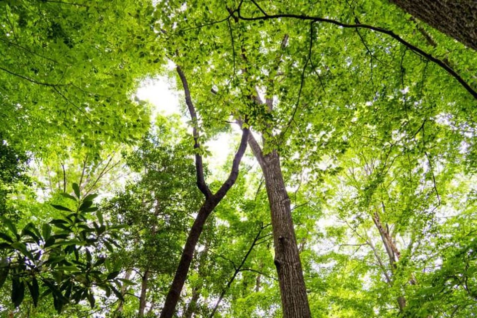 Enjoy the outdoors without leaving the property.
