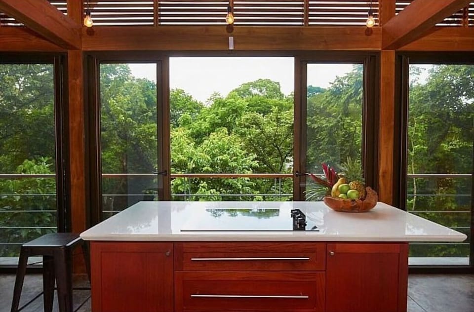 Casa Canopy jungle view 