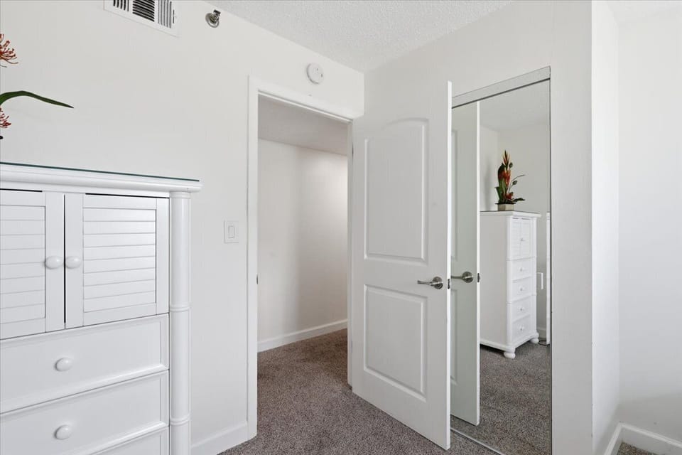 Guest Bedroom Closet