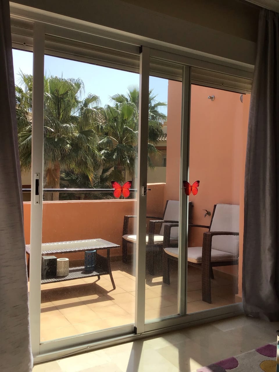 Terrace view to Palm trees