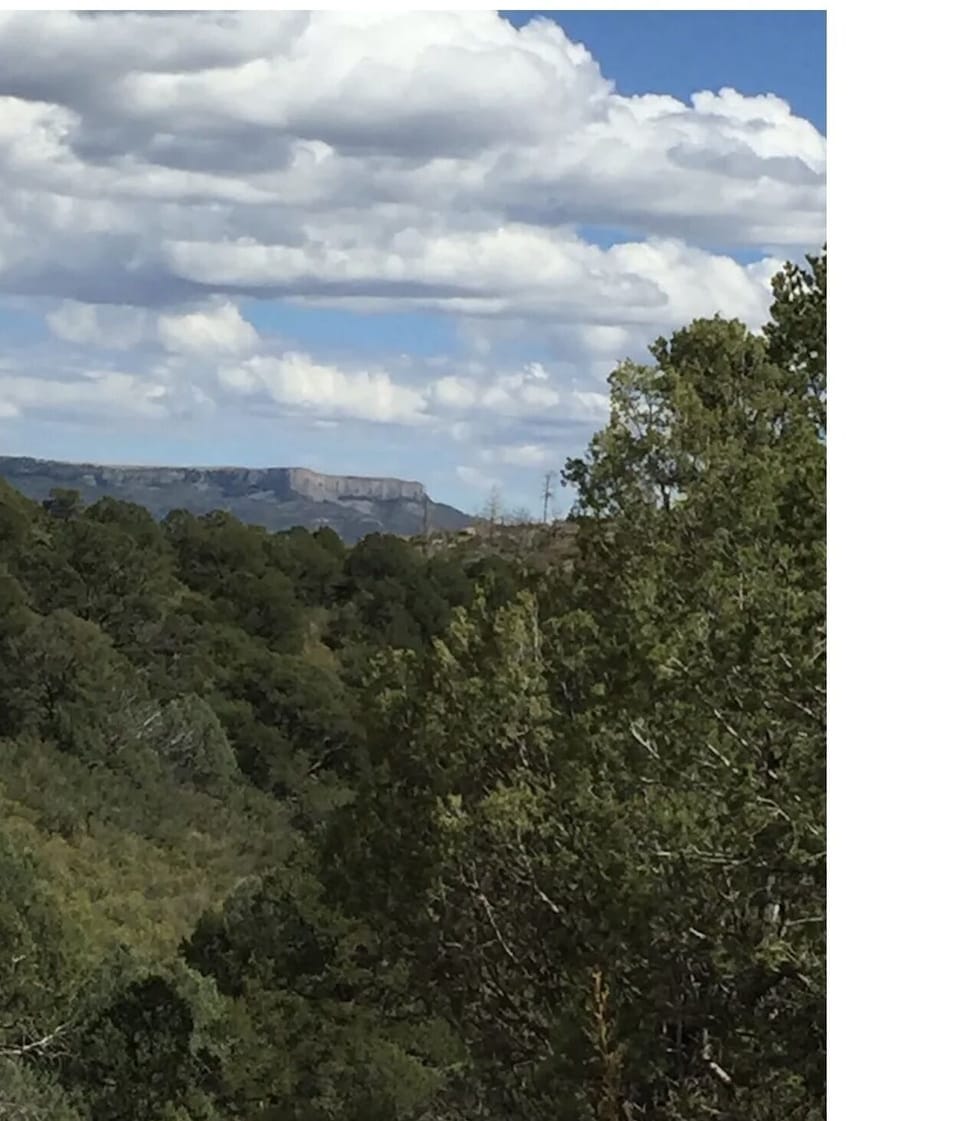 Nature, Outdoors, Sky, Weather, Vegetation