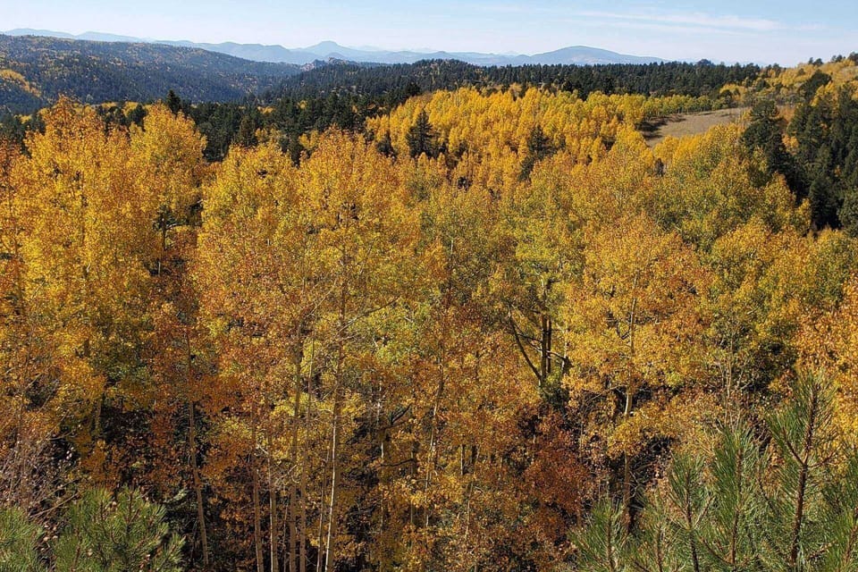 Fall Time at Aspen Grove Lodge