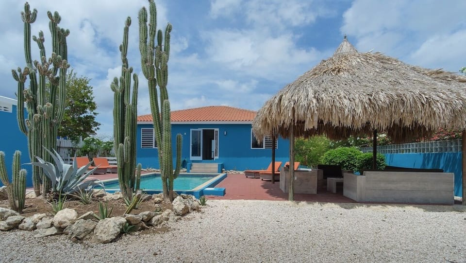 Backyard and Pool
