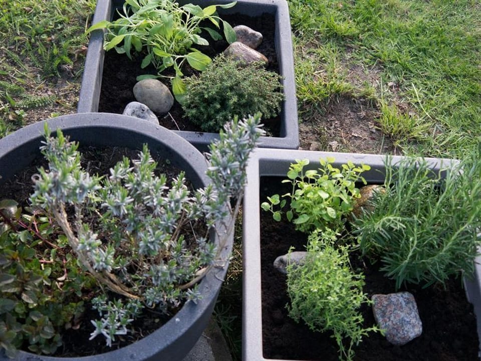 Holiday apartment "Ostseeglück" - Apartment, shower and bath, toilet, 2 bedrooms Apartment in Boltenhagen