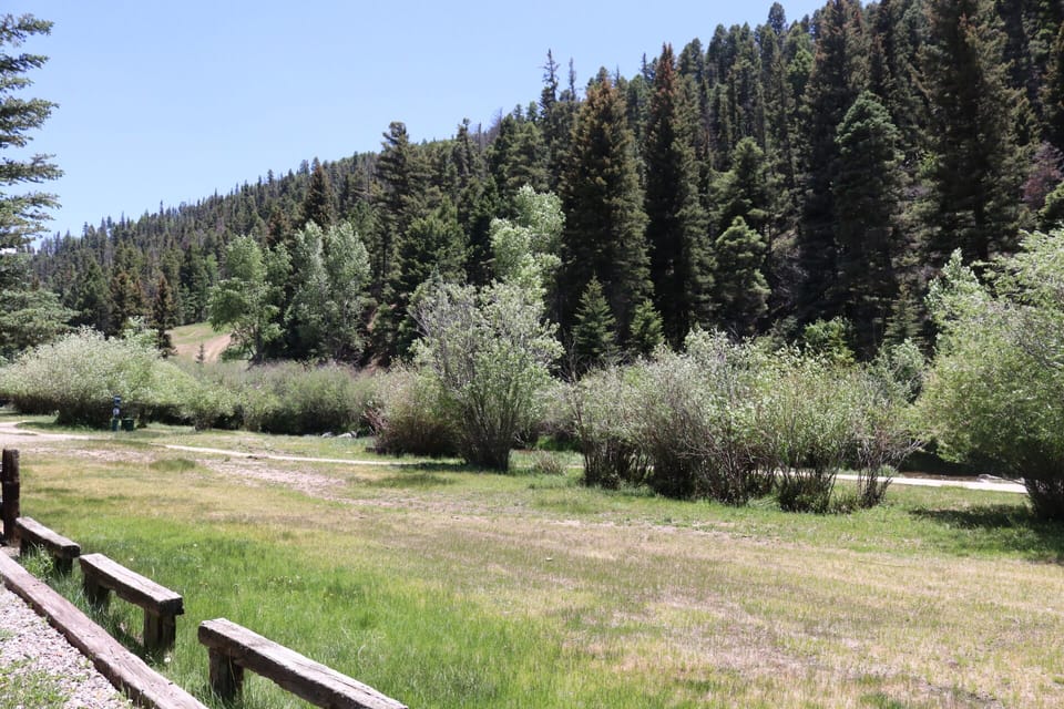 Property nestled in a serene mountain setting surrounded by lush evergreen forests, open meadows, and natural vegetation, offering a peaceful retreat atmosphere.