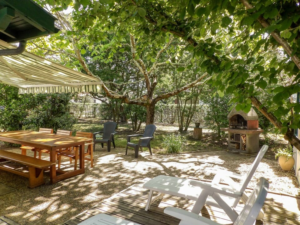 Plant, Table, Shade, Tree, Outdoor Furniture, Outdoor Table, Woody Plant, Leisure, Landscape, Wood