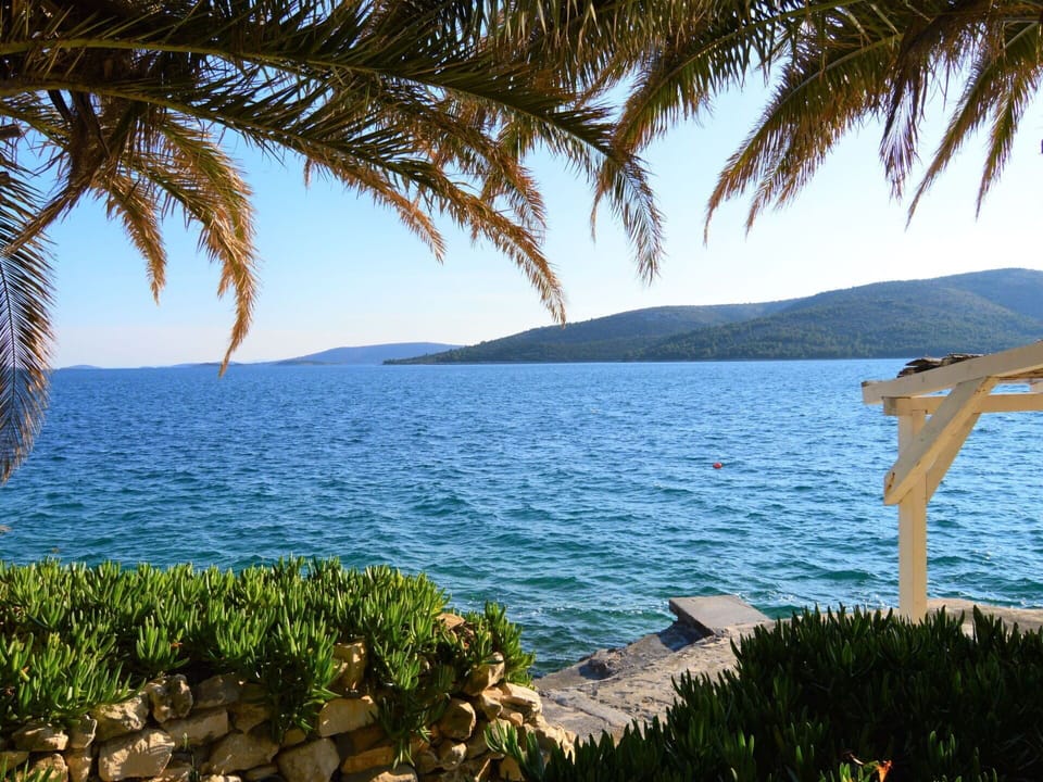 Water, Sky, Plant, Water Resources, Daytime, Botany, Tree, Mountain, Arecales, Natural Landscape