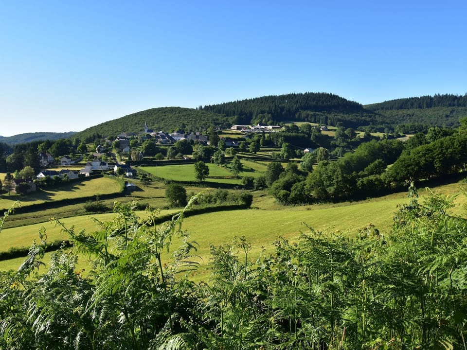 Region [summer] (>5 km)