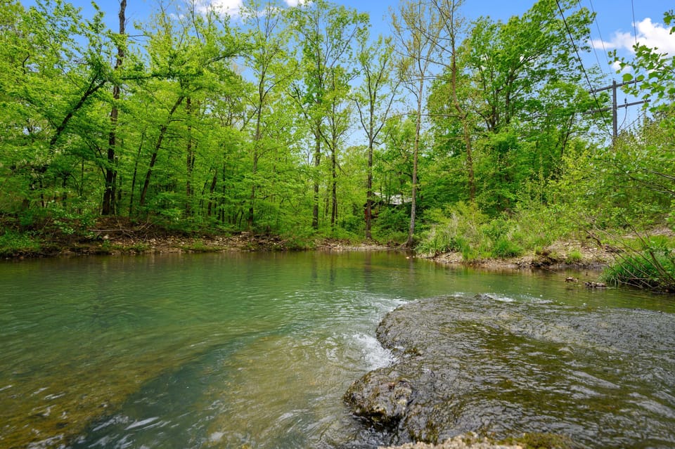 Flowing creek just steps away from the property! Bring your fishing poles!
