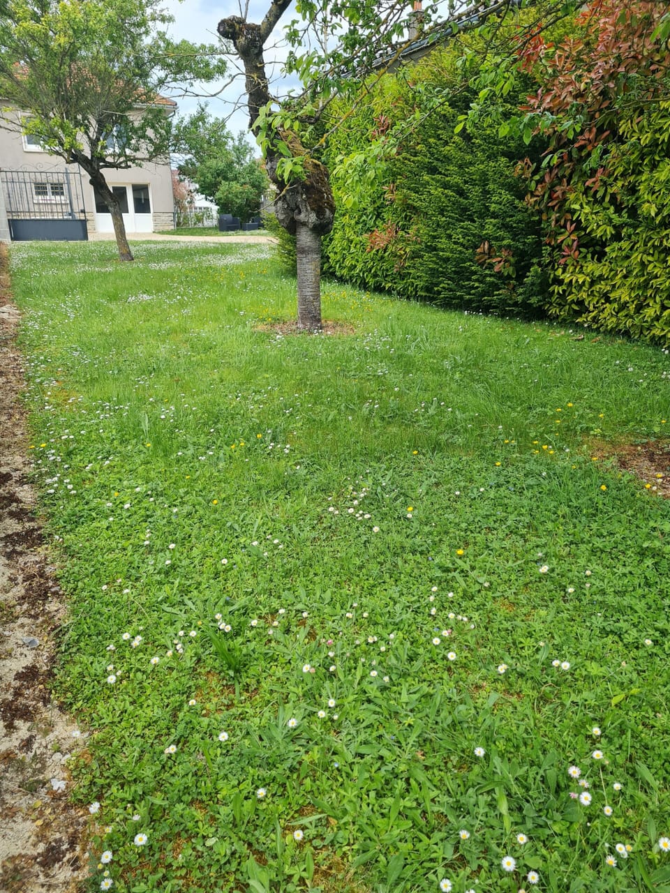 Property grounds