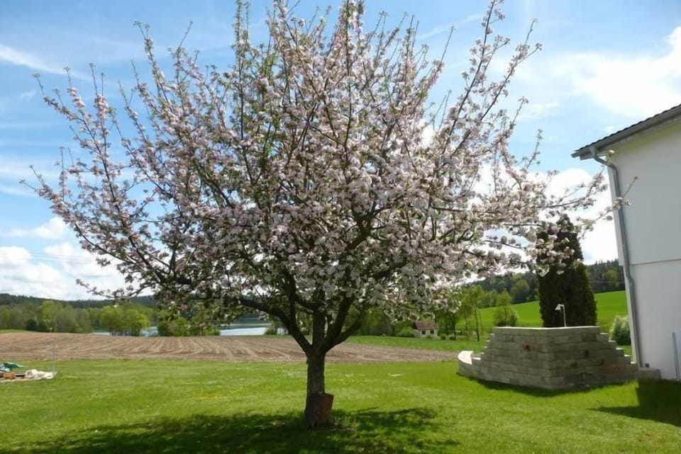 Fritz vacation apartment with 2 bedrooms Apartment in Bavaria